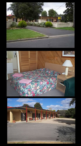 Ace Swan Motel - Accommodation Resorts