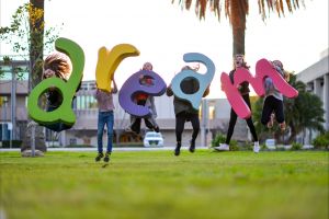 Macquarie Credit Union DREAM Festival - Accommodation Resorts